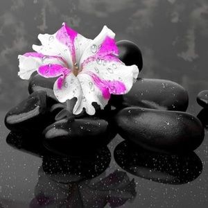 Meet your Posher, Maggie